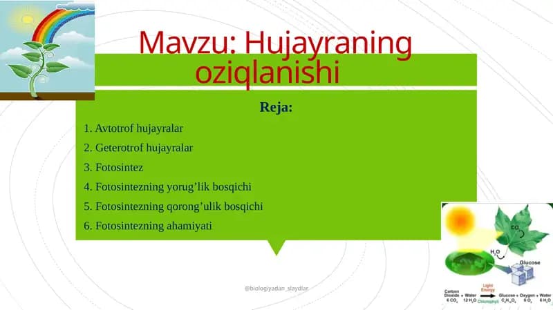 Hujayraning oziqlanishi.