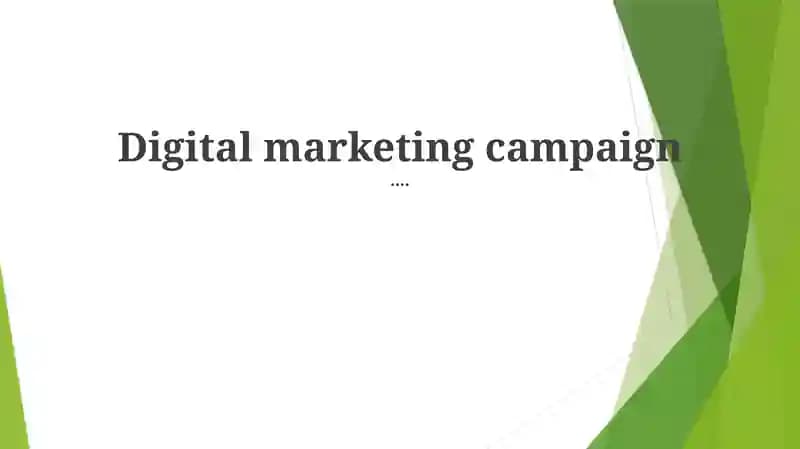 Digital Marketing Campaign Analysis