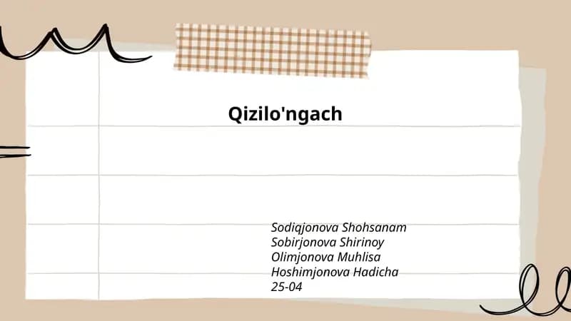 Qizilo'ngach