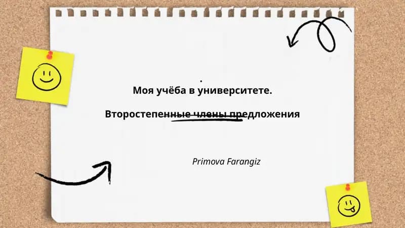 Моя учёба в университете