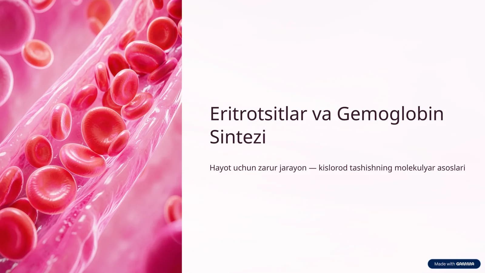 Eritrotsitlar va Gemoglobin Sintezi