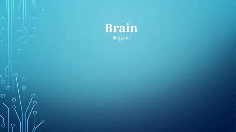 Miya (Brain)