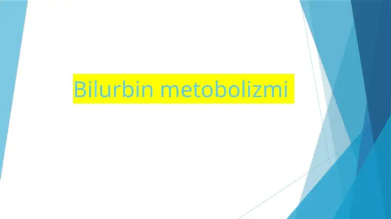 Bilurbin metobolizmi
