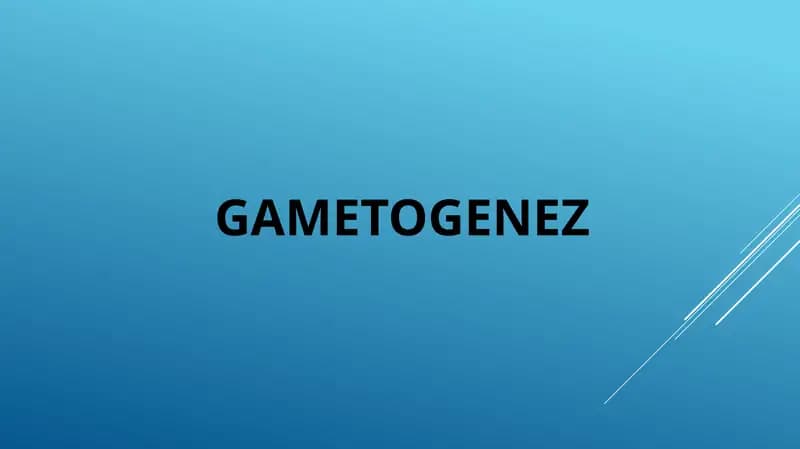 GAMETOGENEZ
