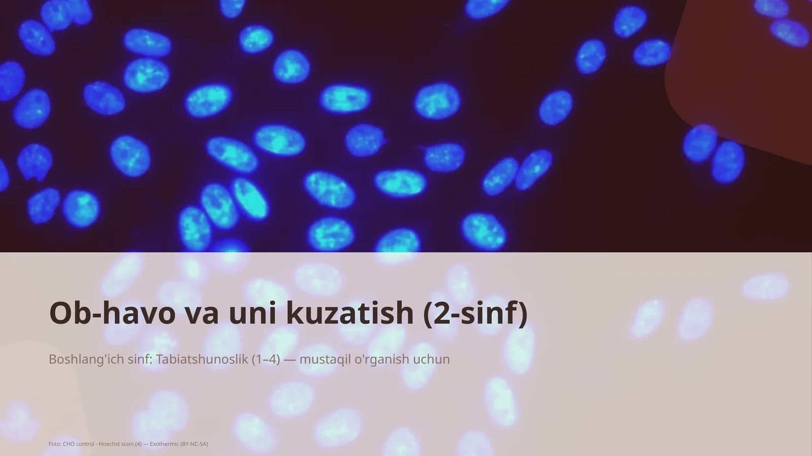 Ob-havo va uni kuzatish (2-sinf)