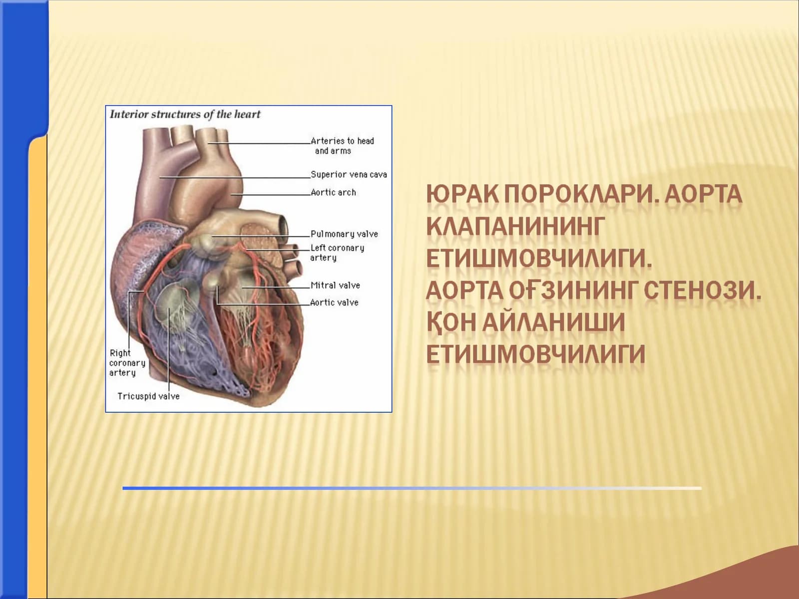 юрак  пороклари