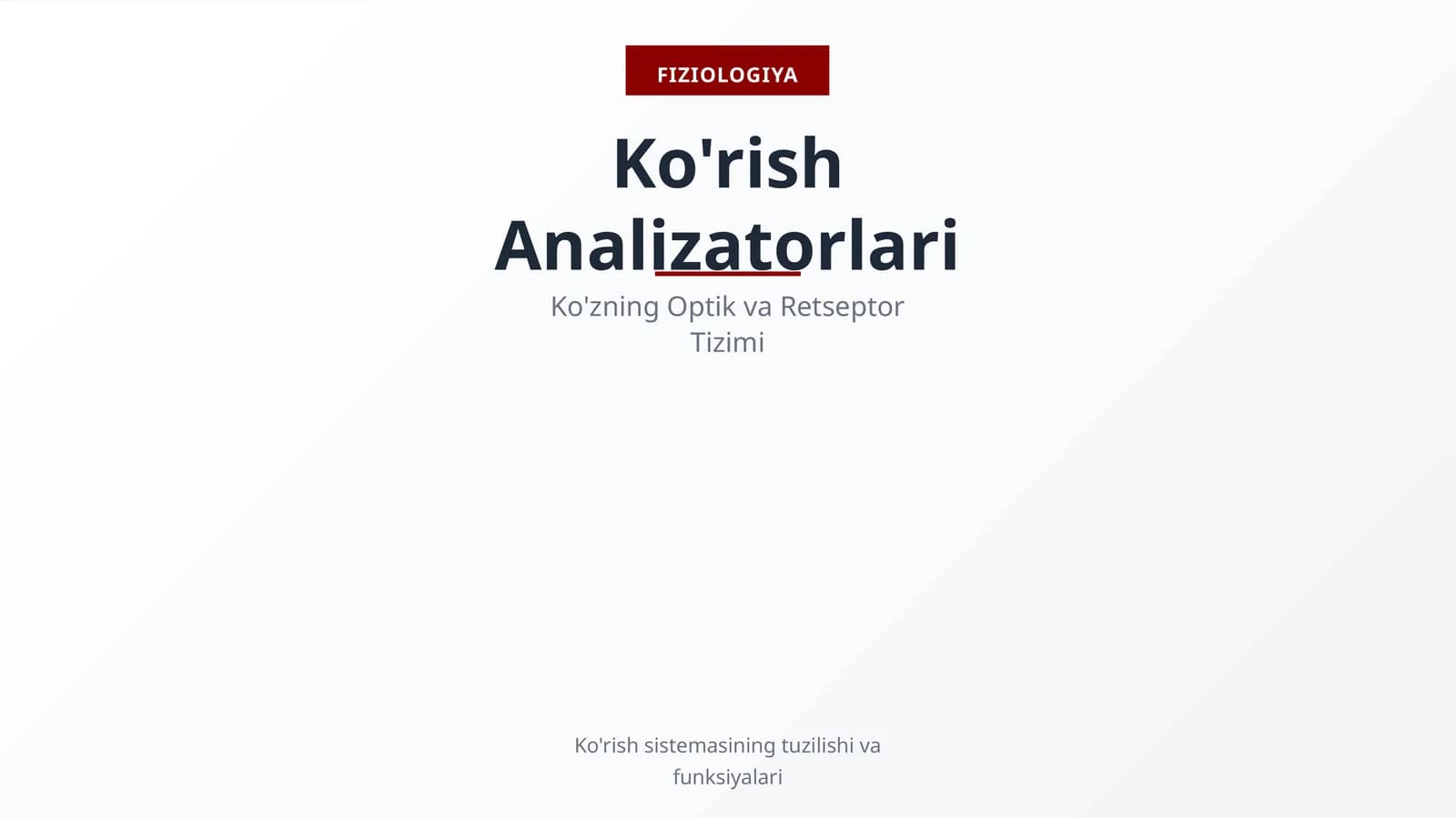 Ko'rish Analizatorlari