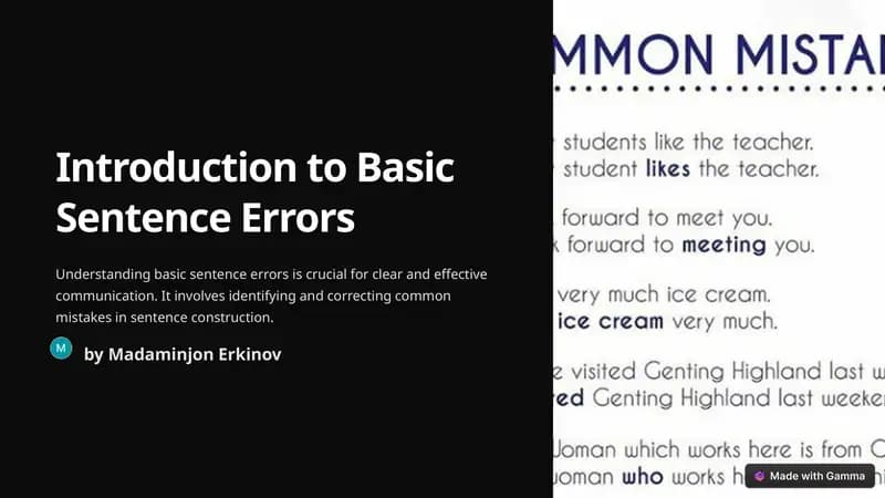 Introduction to Basic Sentence Errors