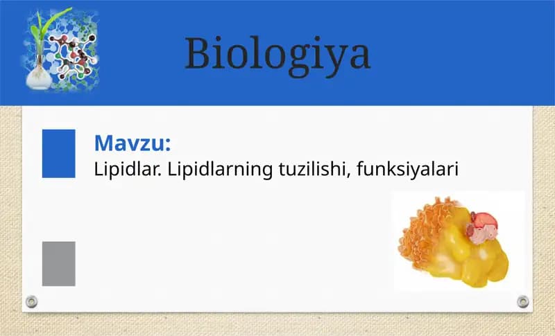 Lipidlar