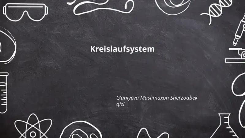Kreislaufsystem
