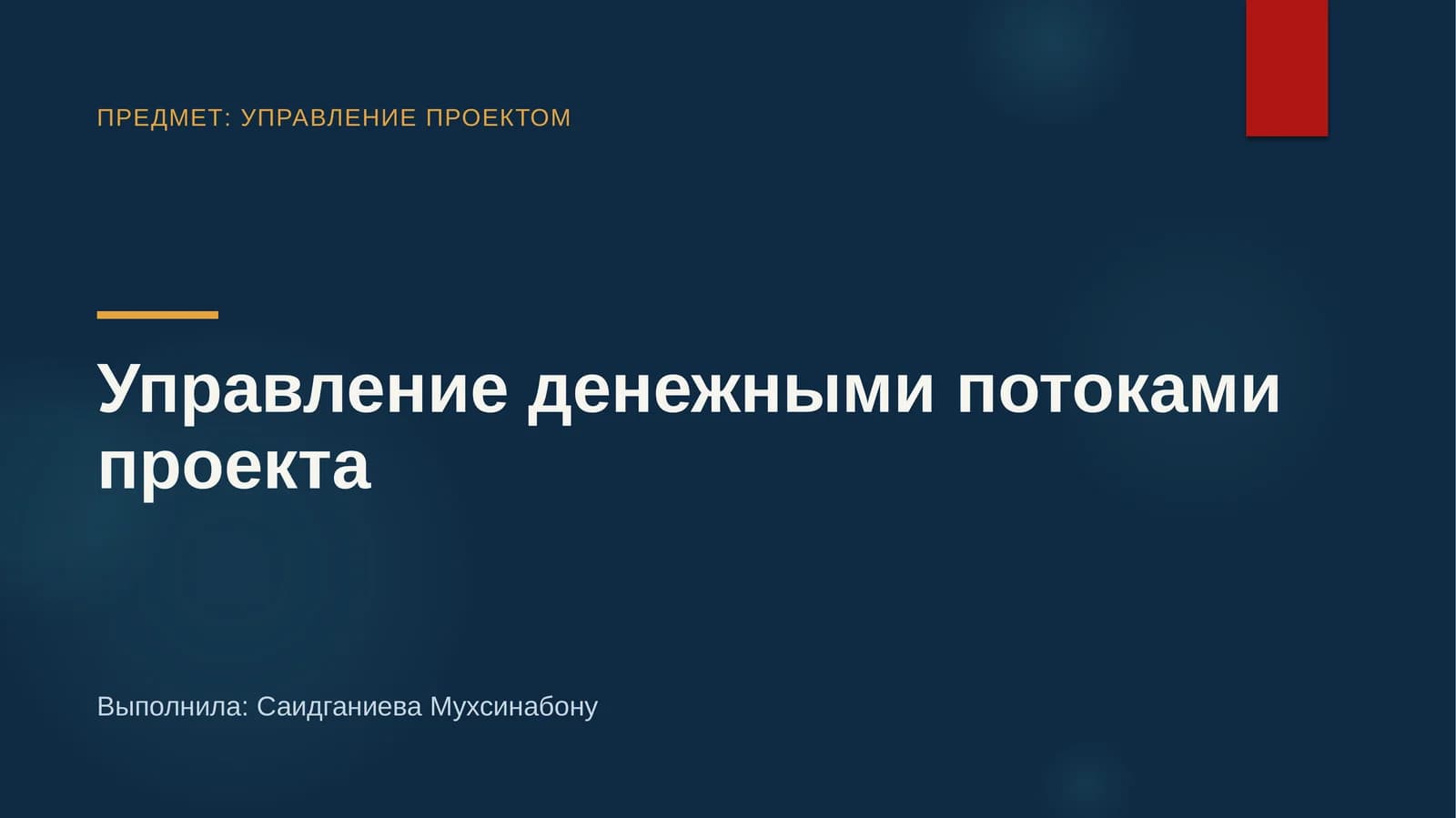 Управление денежными потоками проекта