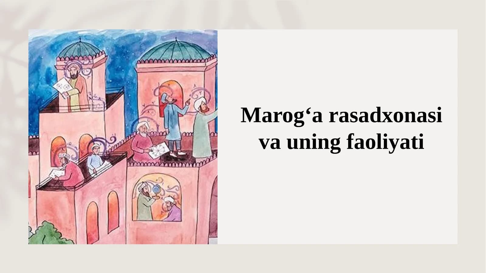 Marog‘a rasadxonasi va uning faoliyati