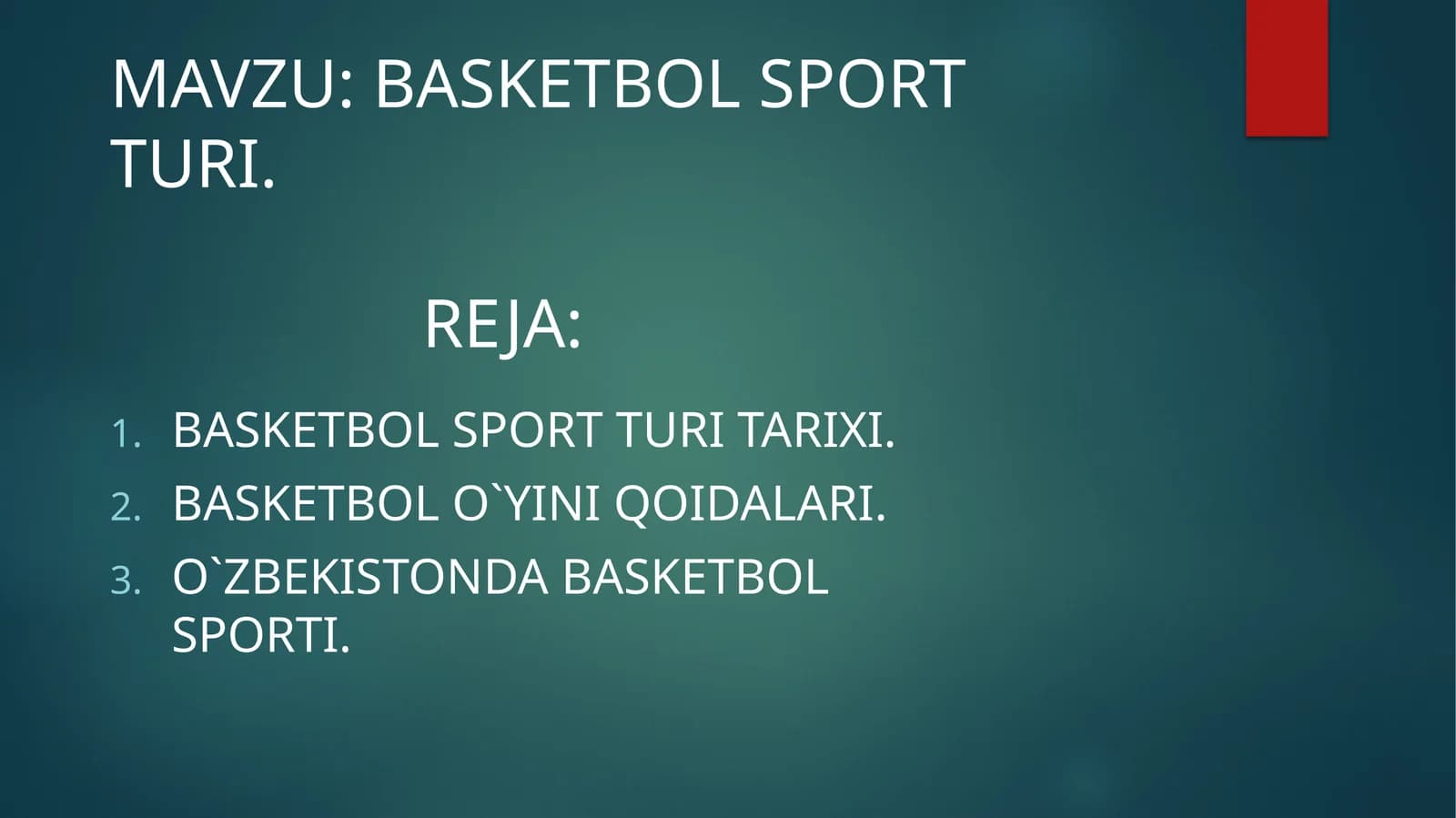 BASKETBOL SPORT TURI