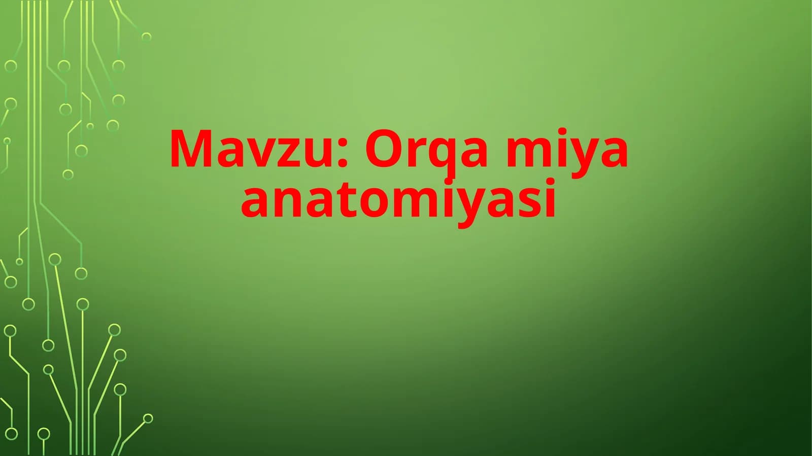 Orqamiyaanatomiyasi