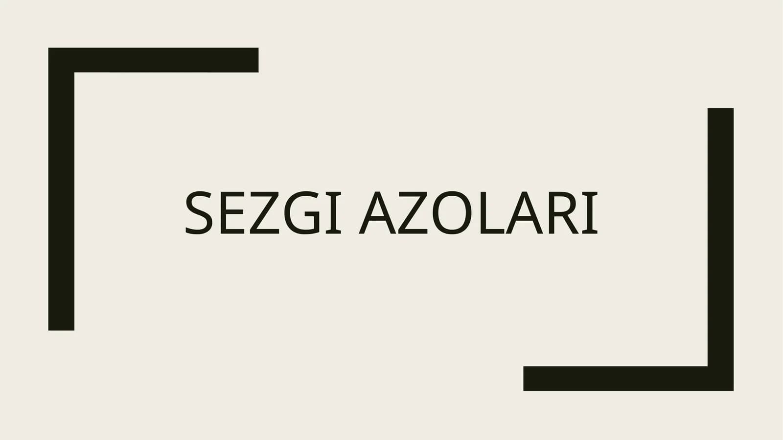 Sezgi a'zolari