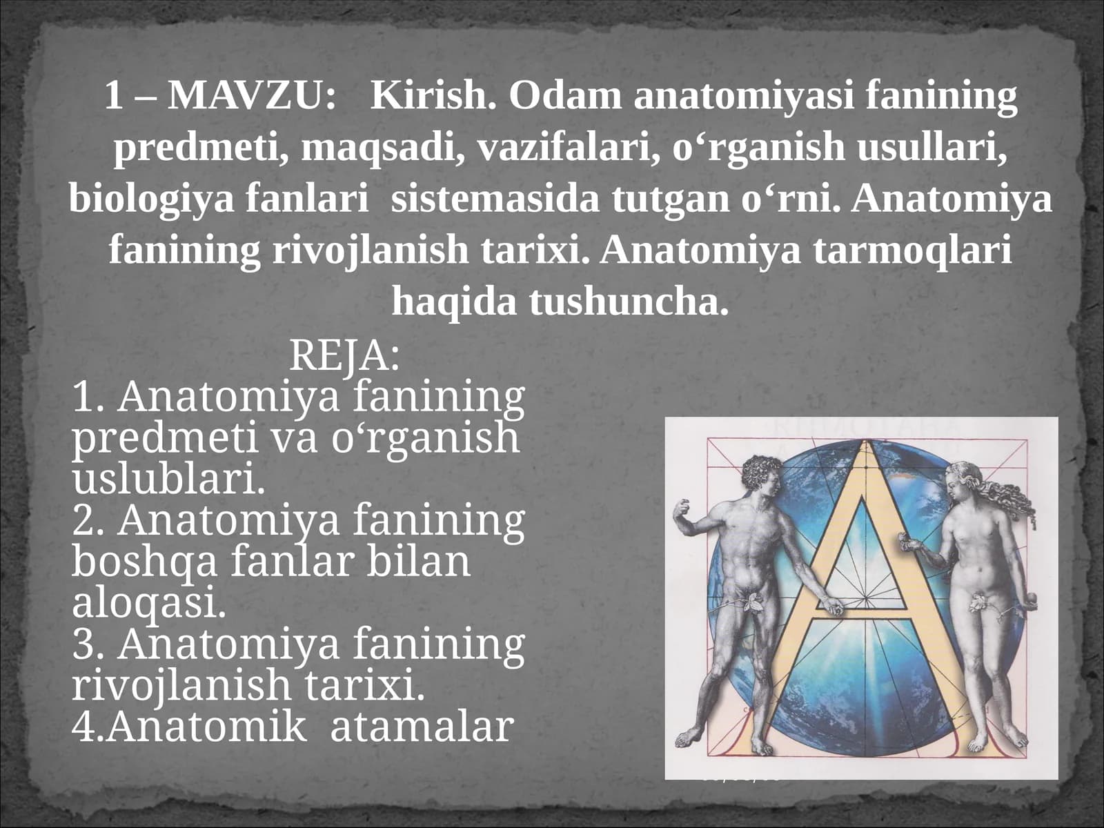 Odam anatomiyasi