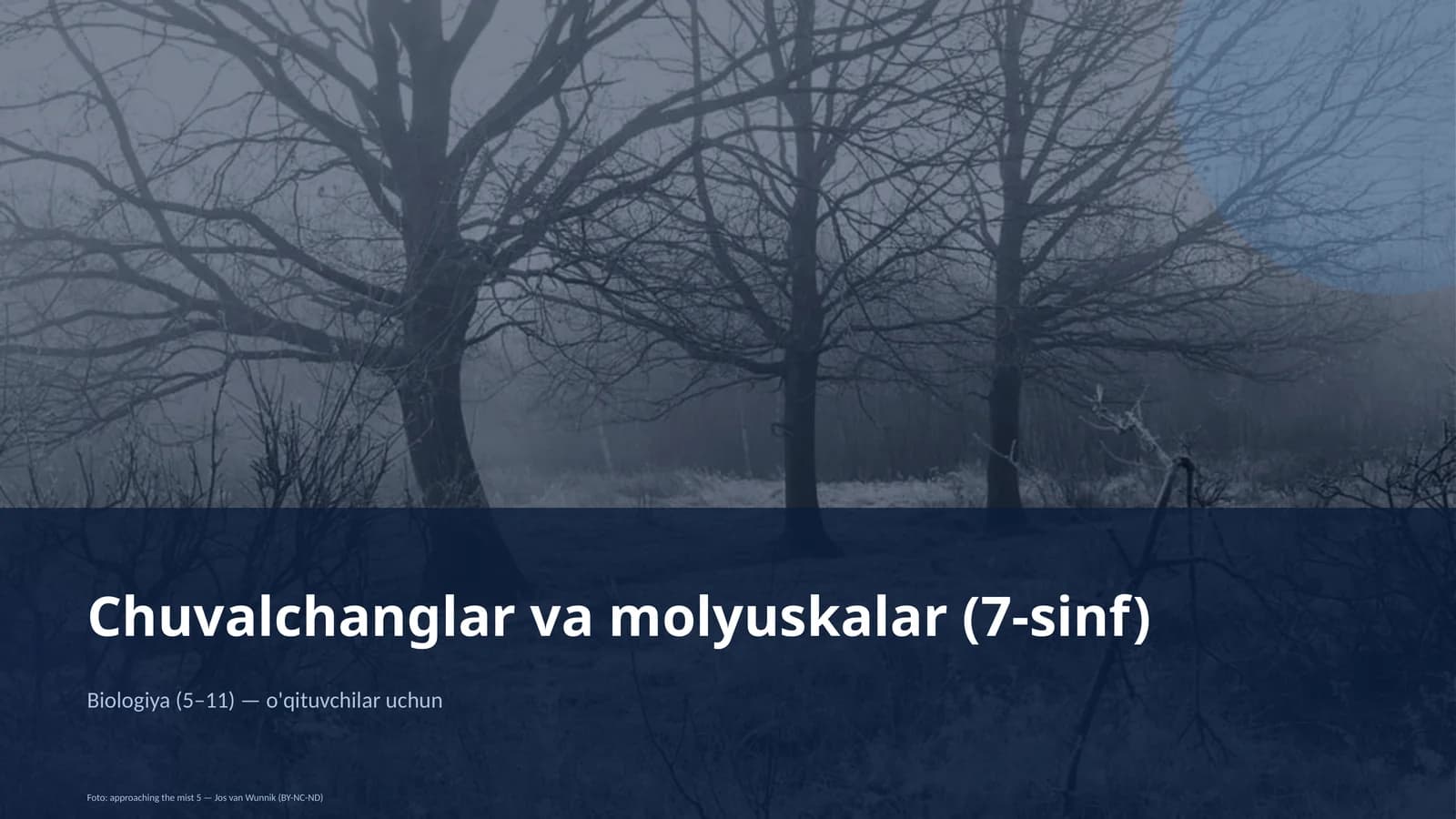 Chuvalchanglar va molyuskalar (7-sinf)