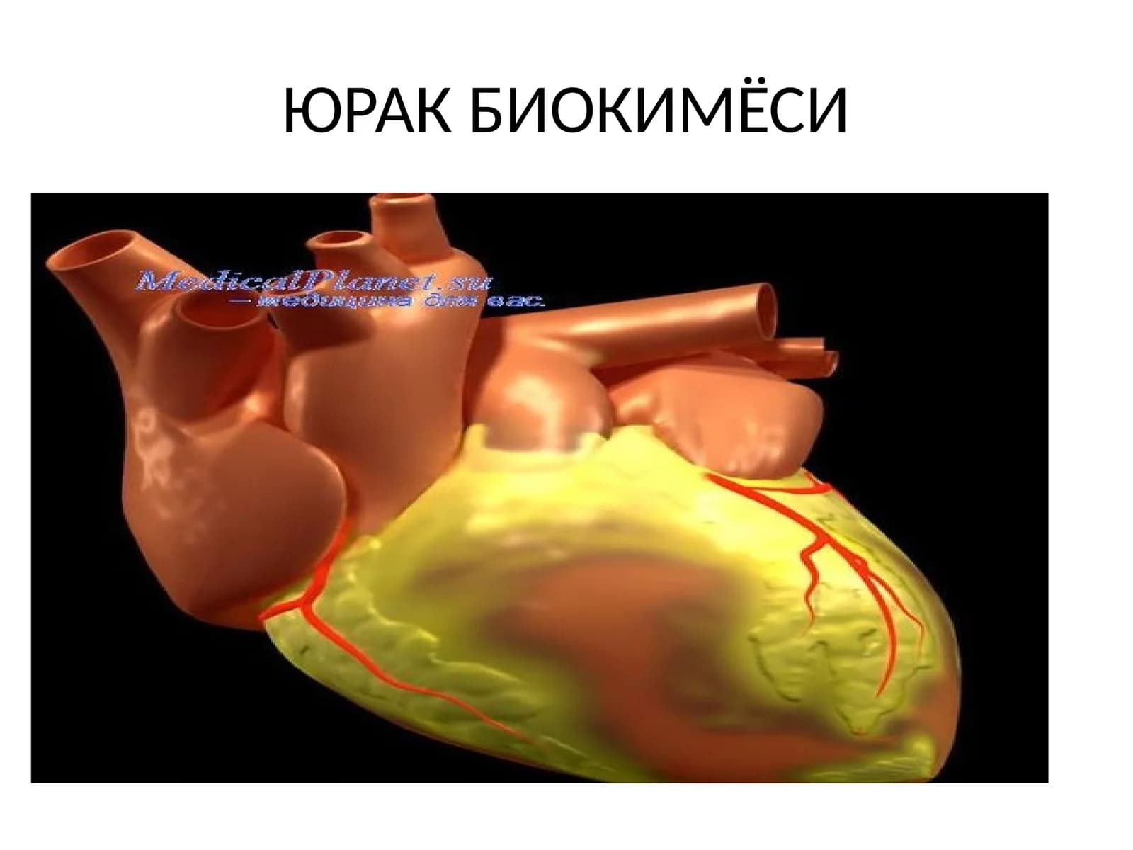 ЮРАК БИОКИМЁСИ