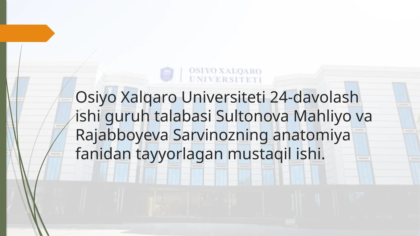 Nafas olish jarayoni. Nafas a'zolarining rentgen anatomiyasi va rivojlanish nuqsonlari