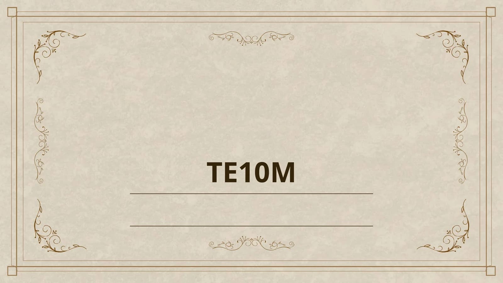 TE10M
