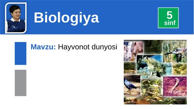 Hayvonotdunyosi