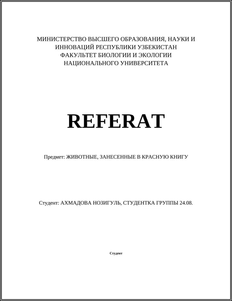 Амурский тигр