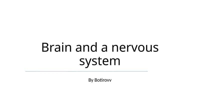 Brain and a nervous system