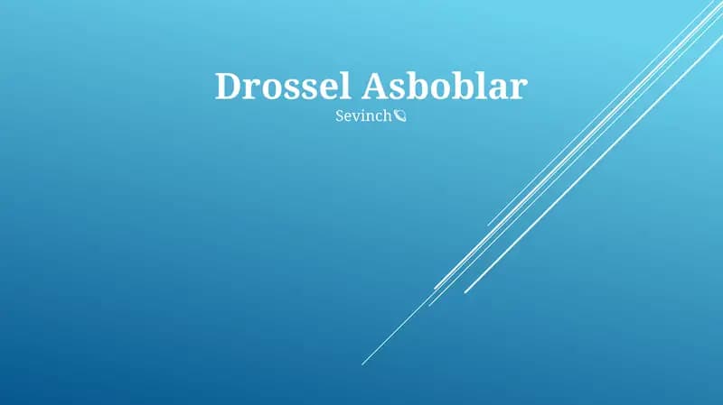 Drossel Asboblar