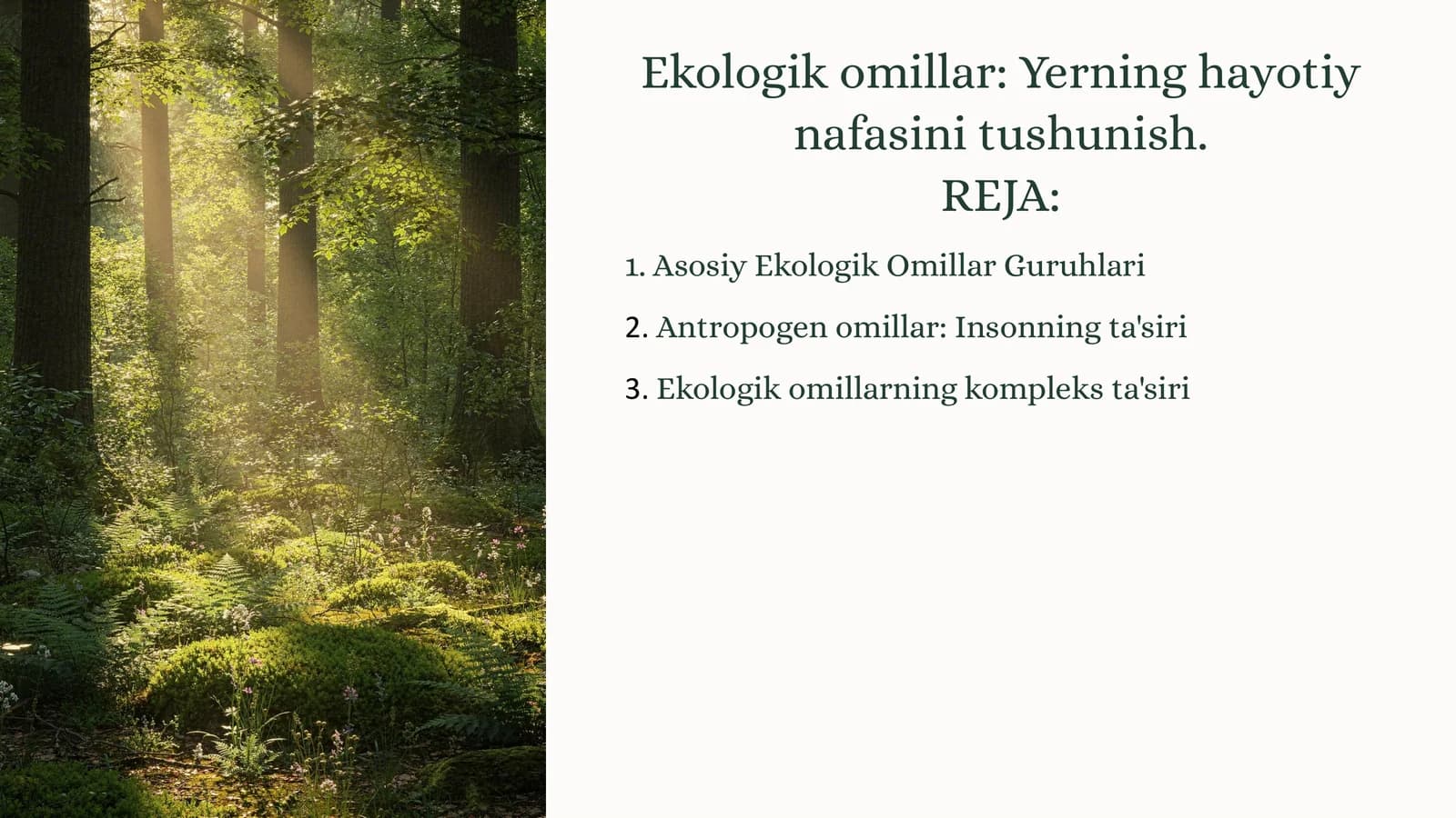 Ekologik omillar: Yerning hayotiynafasinitushunish