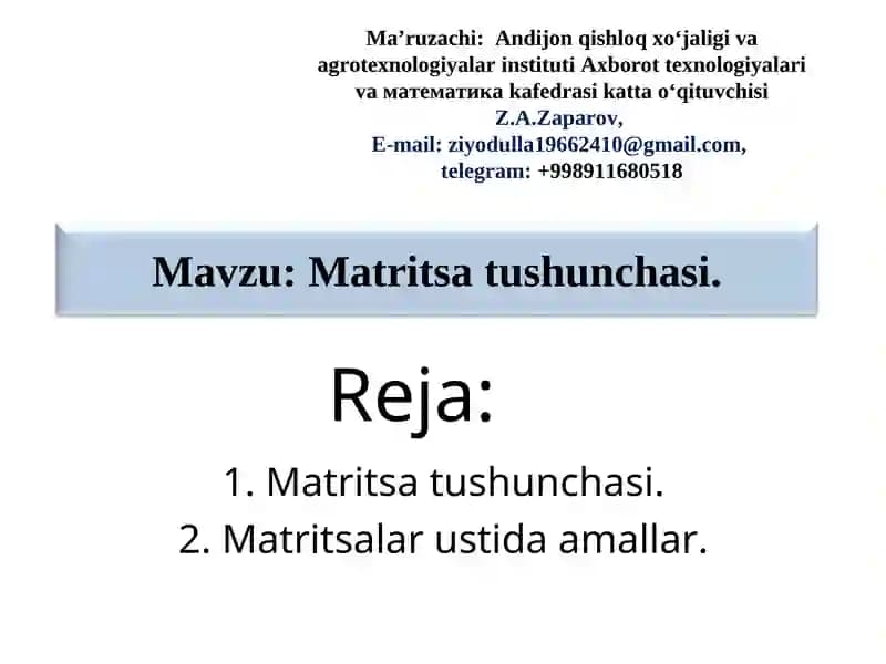 Matritsa tushunchasi