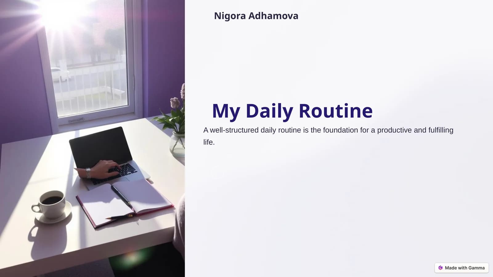 My Daily Routine