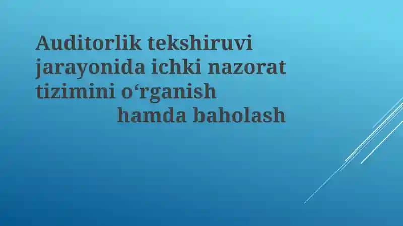 Ichki nazorat tizimi