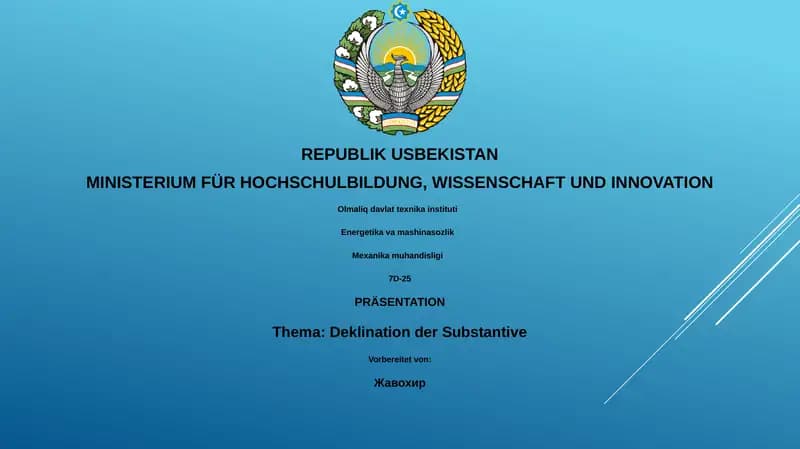 Deklination der Substantive