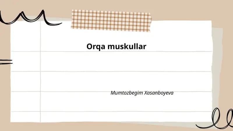 Orqa muskullar