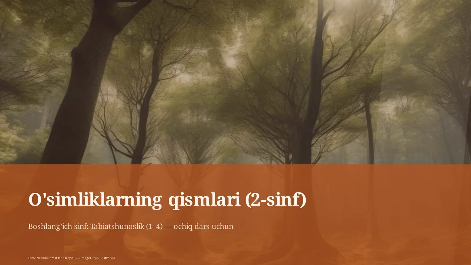 O'simliklarning qismlari (2-sinf)
