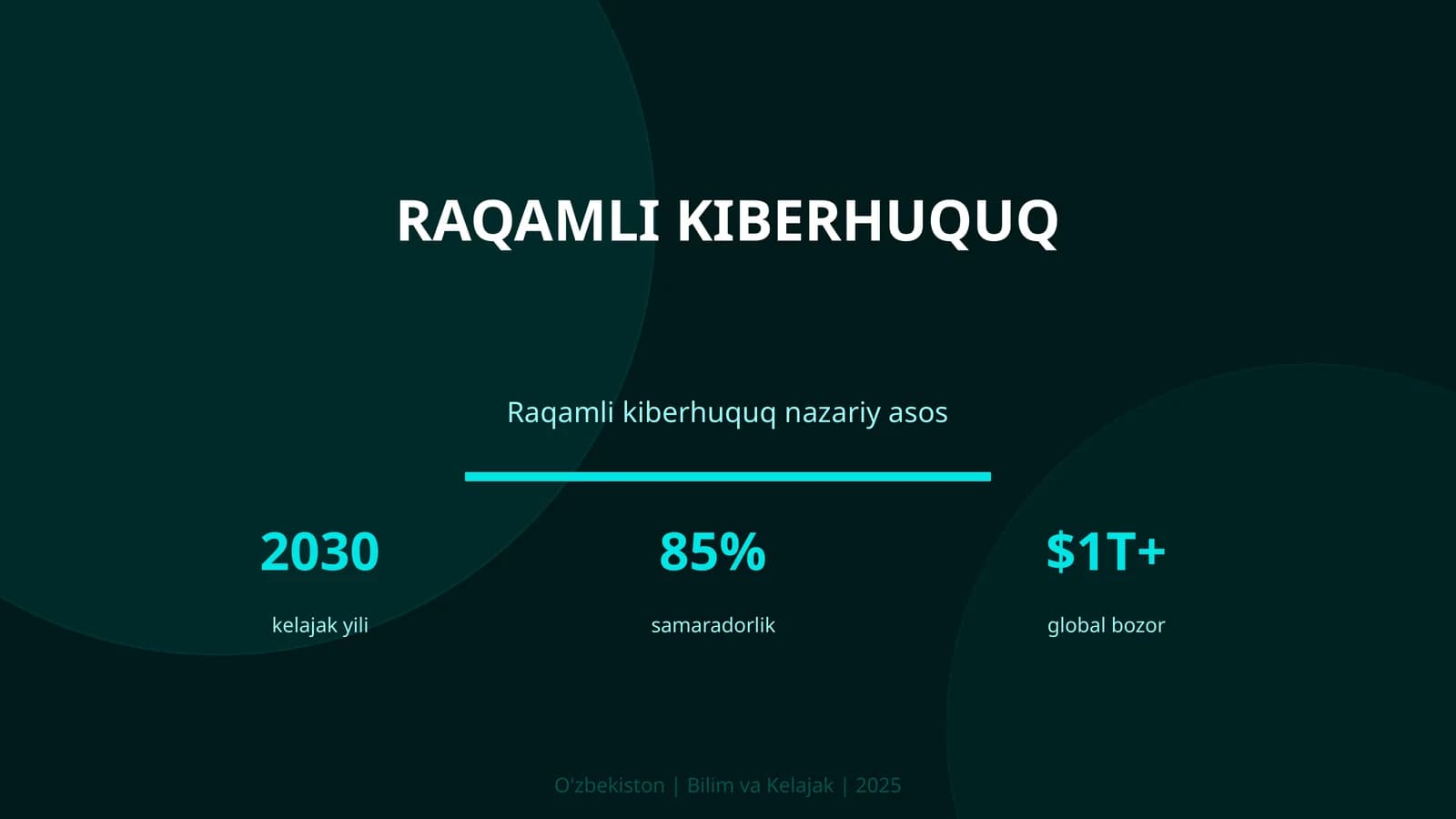 Raqamli kiberhuquq