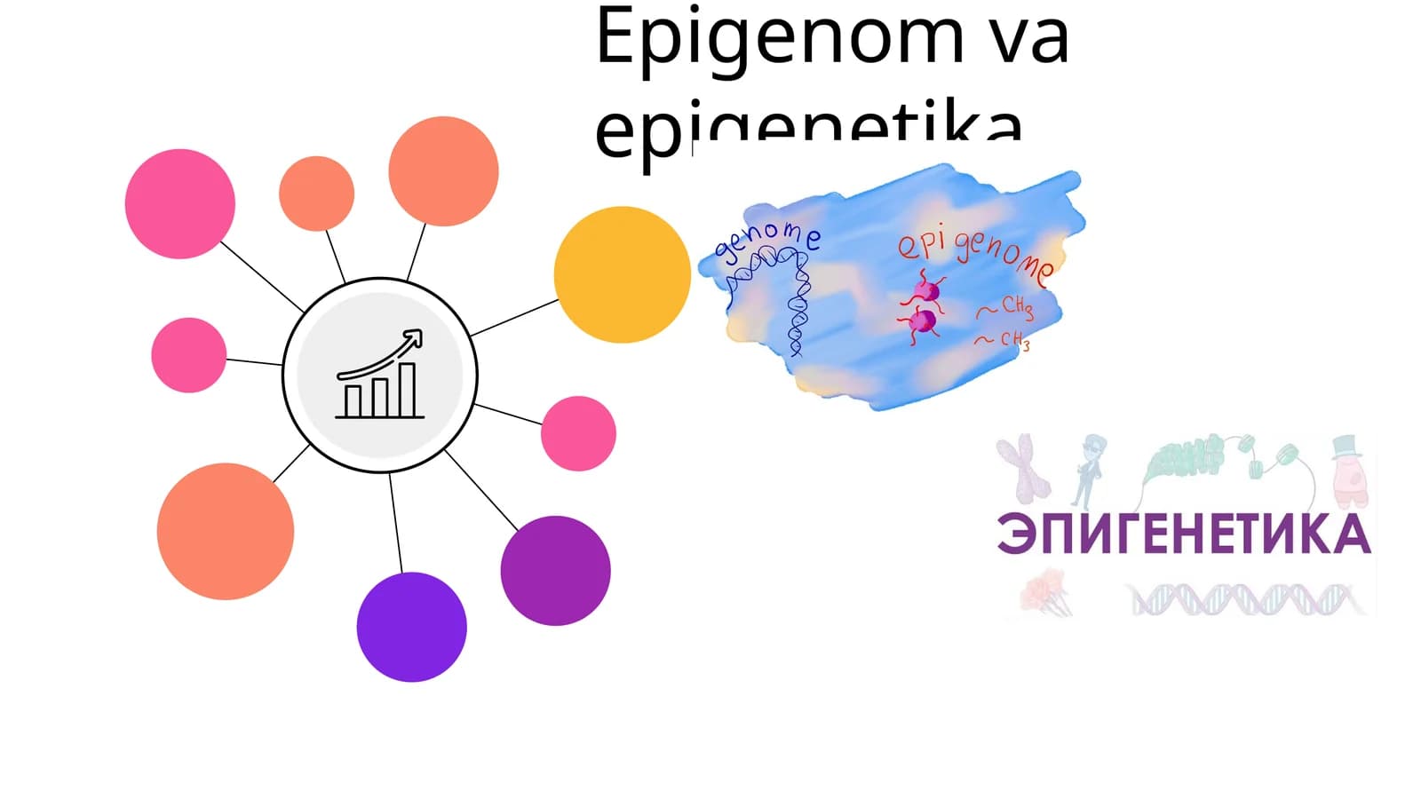 Epigenom va epigenetika