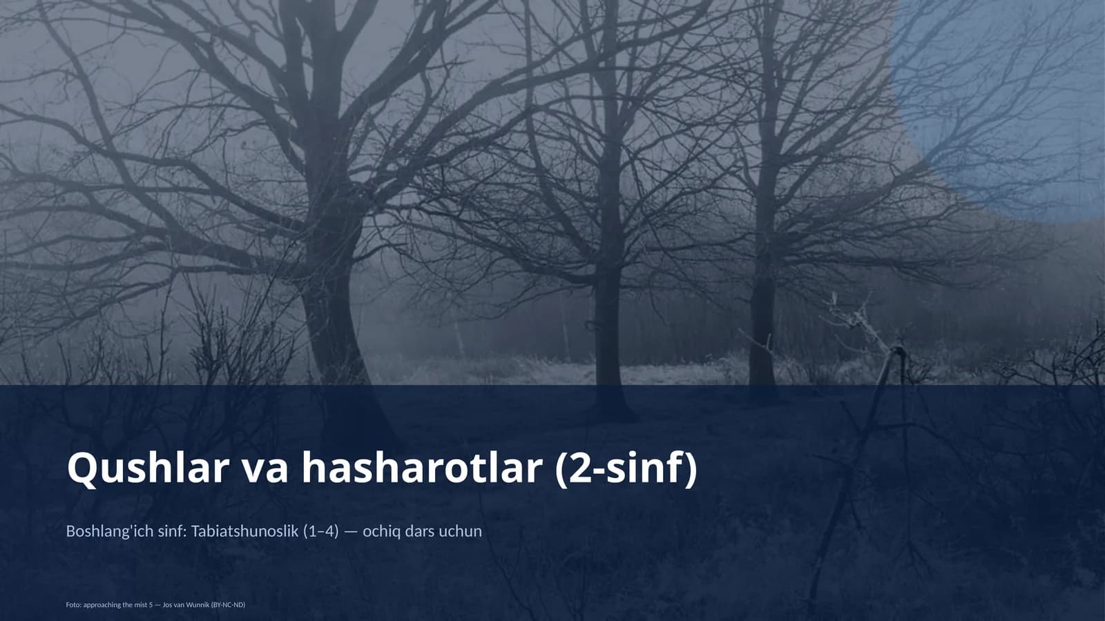 Qushlar va hasharotlar (2-sinf)