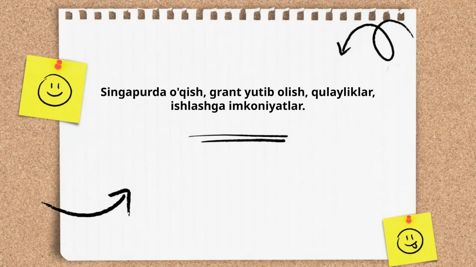 Singapurda oliy ta'lim tizimi
