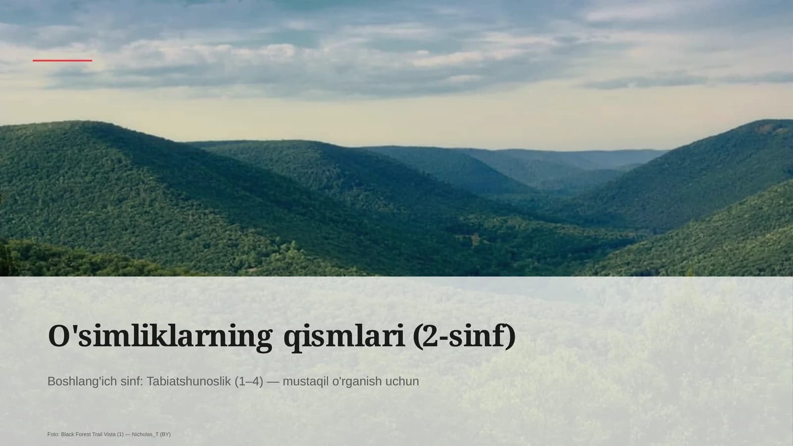 O'simliklarning qismlari (2-sinf)
