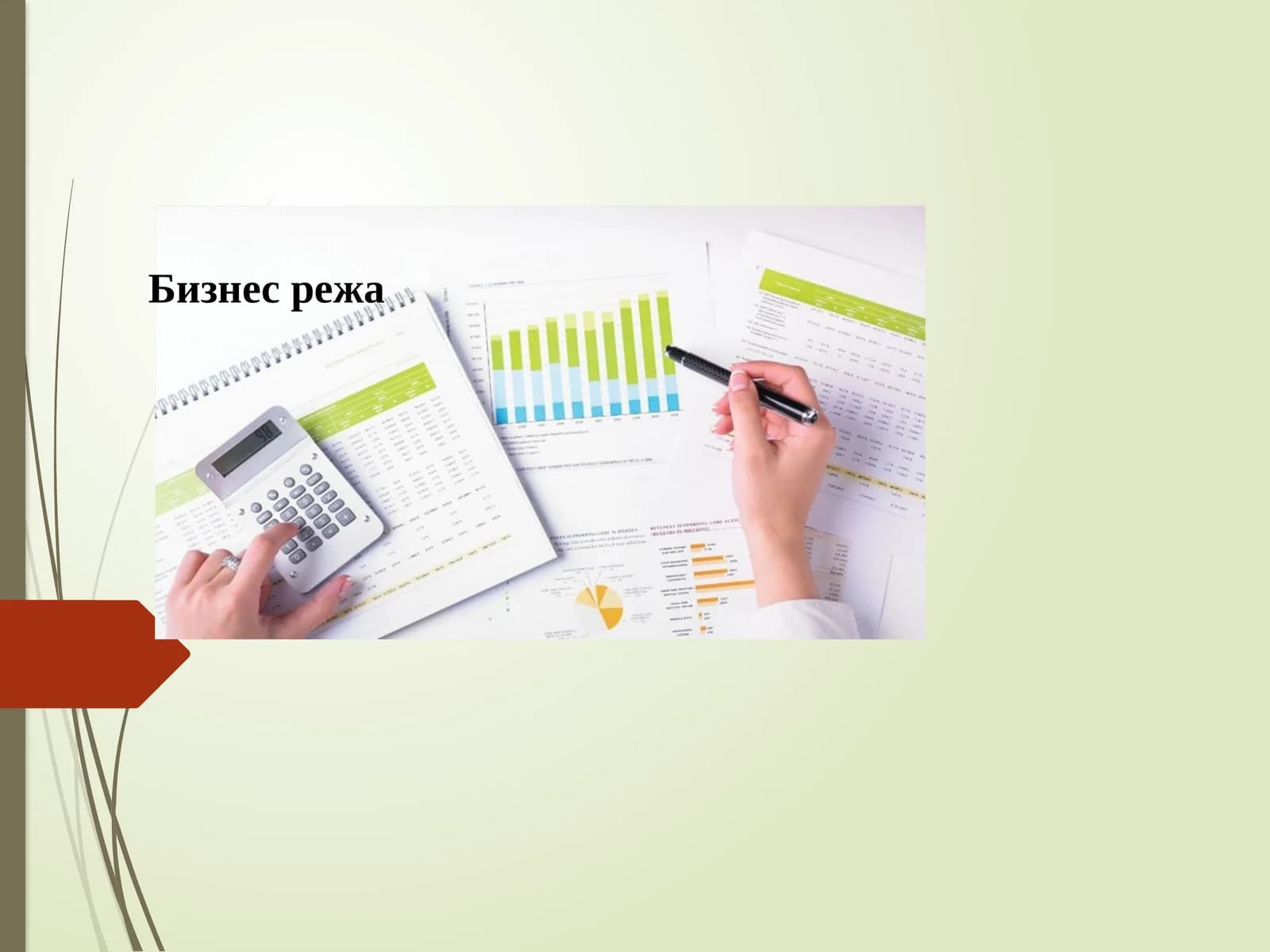 Бизнес-режа