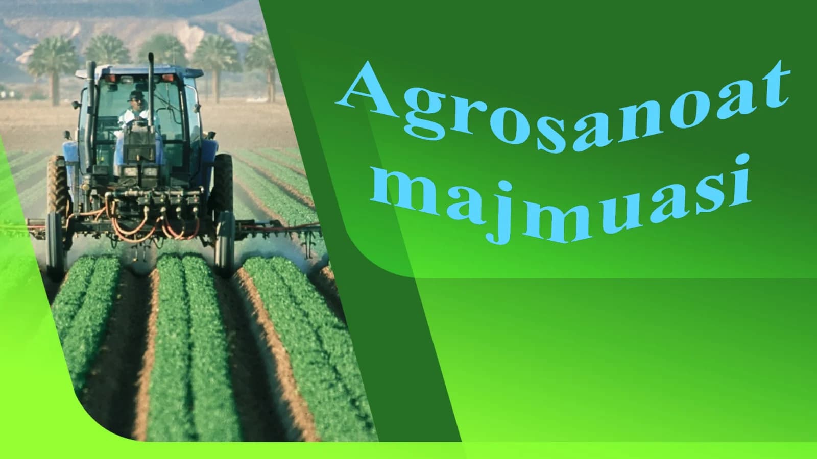 Agrosanoat  majmuasi