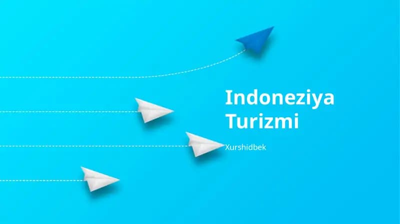 Indoneziya Turizmi