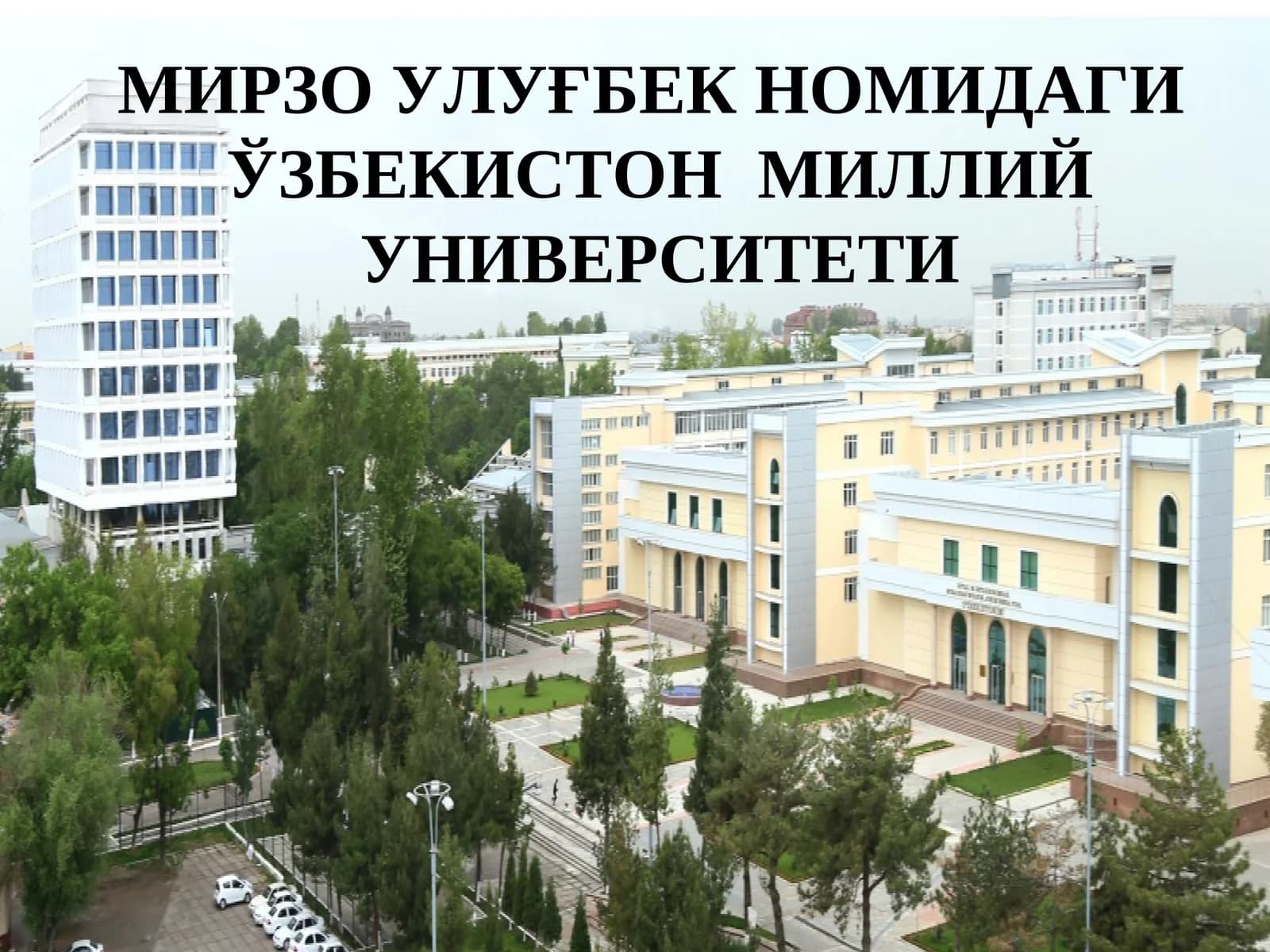 Борлиқ