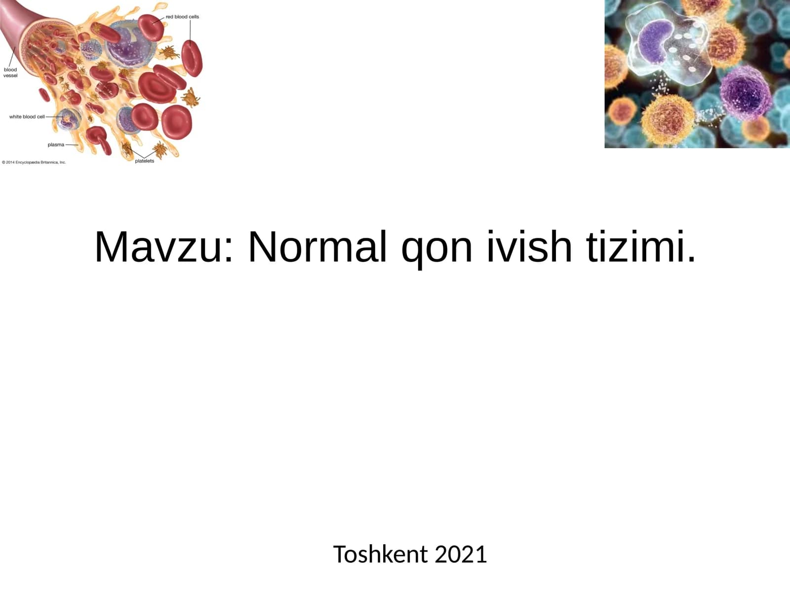 Normal qon ivish tizimi