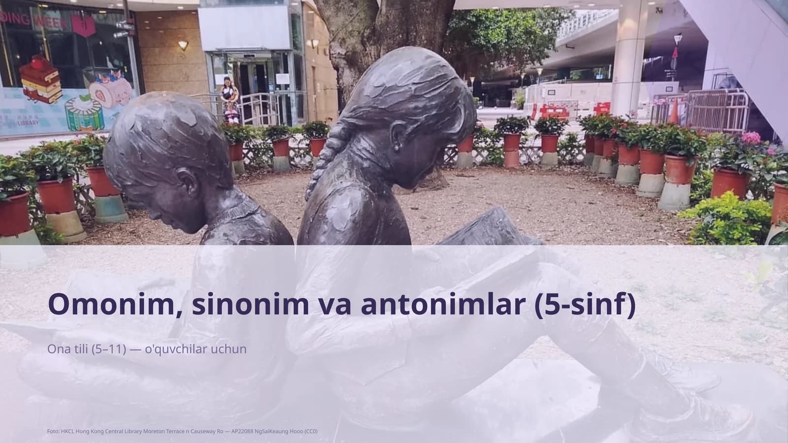 Omonim, sinonim va antonimlar (5-sinf)