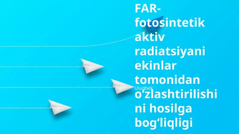 FNF yutilishi