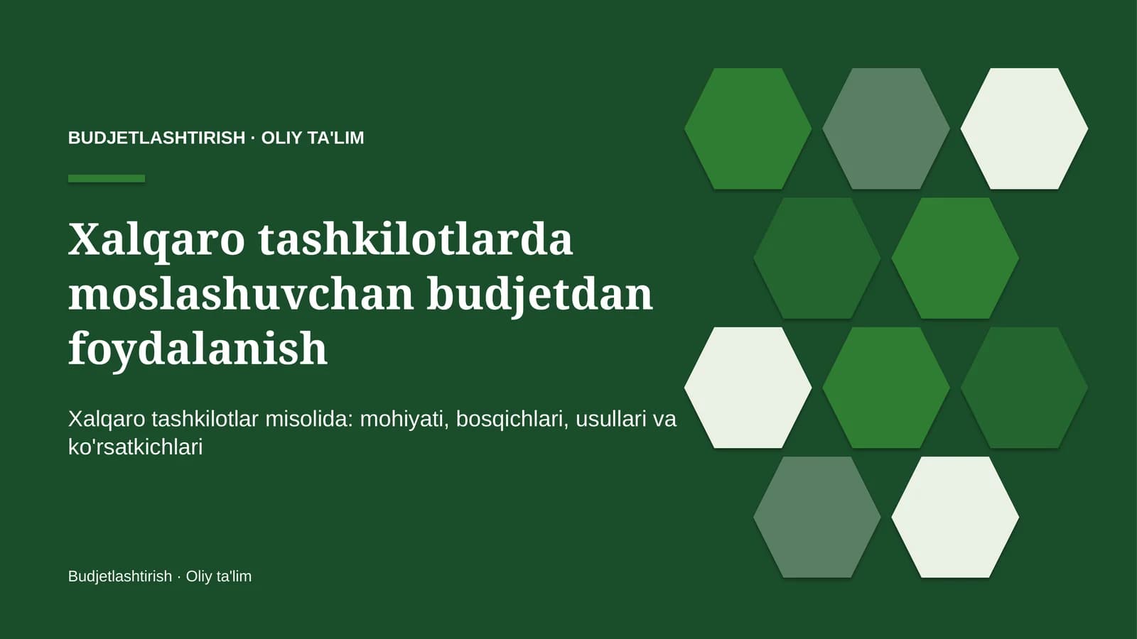 Xalqaro tashkilotlarda moslashuvchan budjetdan foydalanish