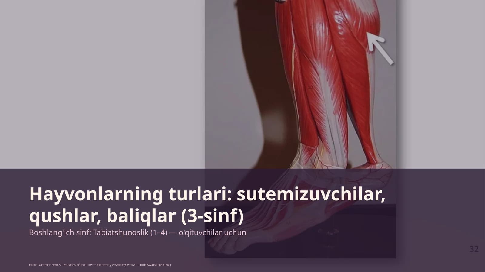 Boshlang'ich sinf: Tabiatshunoslik