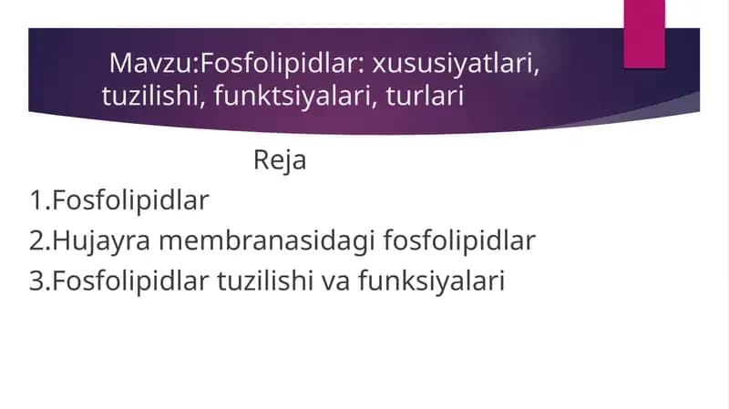 Fosfolipidlar